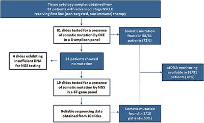 Detection and Quantification of ctDNA for Longitudinal Monitoring of Treatment in Non-Small Cell Lung Cancer Patients Using a Universal Mutant Detection Assay by Denaturing Capillary Electrophoresis